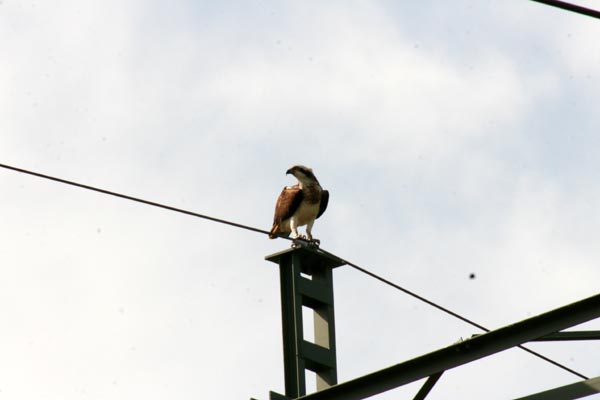 Killikus® Fotographie Killikus® Fotographie